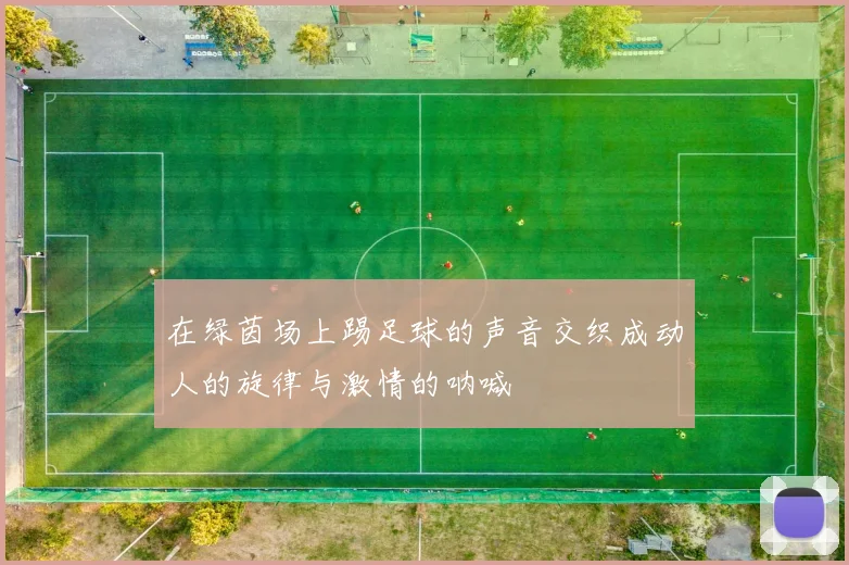 在绿茵场上踢足球的声音交织成动人的旋律与激情的呐喊