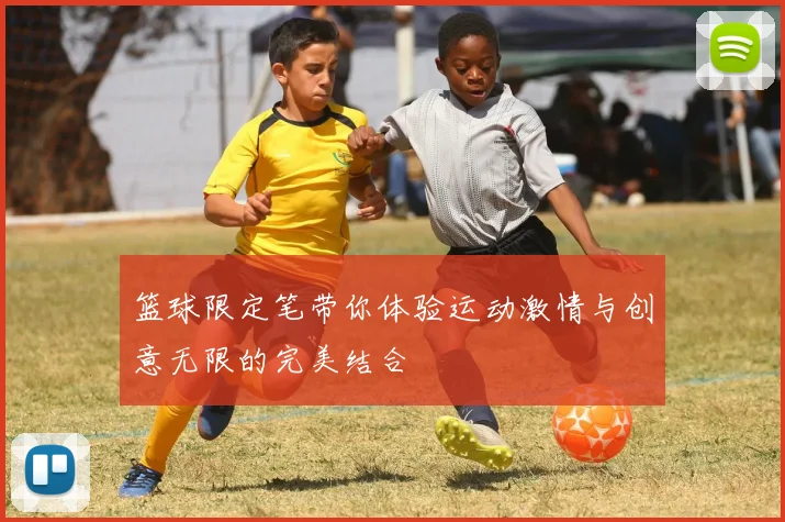 篮球限定笔带你体验运动激情与创意无限的完美结合