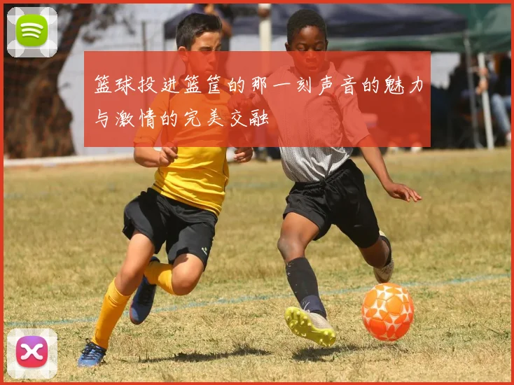 篮球投进篮筐的那一刻声音的魅力与激情的完美交融