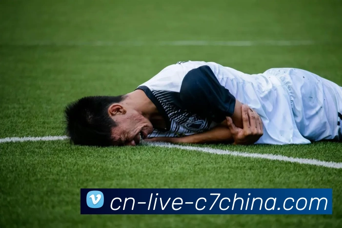 c7娱乐平台生态图